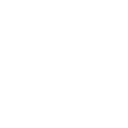 PCS2 ASIA logo