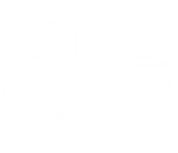 PMS 2026 Phase 2 logo