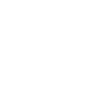 PGS 3 logo
