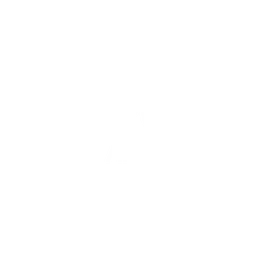 PCS4 AMERICAS logo