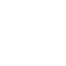 PCS4 ASIA logo