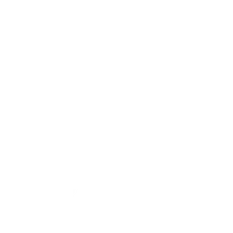 Shopify Rebellion logo