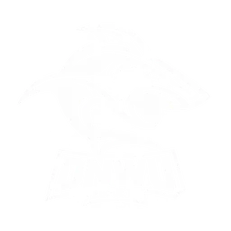 Definitely Not Washed Up logo