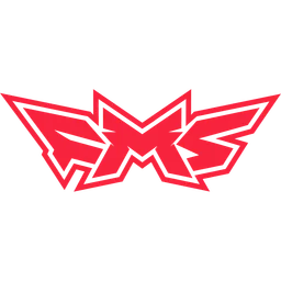 StormMedia FMS logo