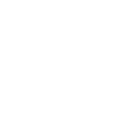 Logo SAW