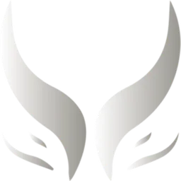 Logo de WBG.XG