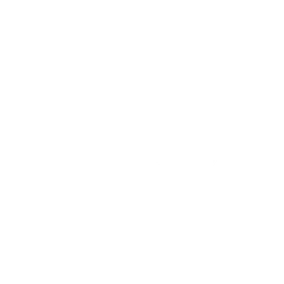 Rebels Velvet logo