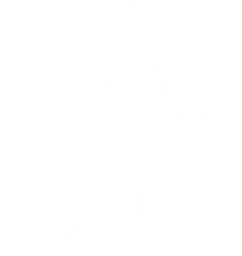 Logo de Akroma