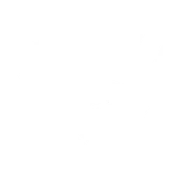 Team Solidのロゴ