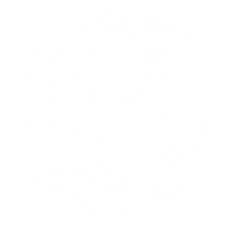 Washed Gaming 标志