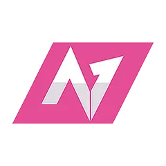 Team No1 logo