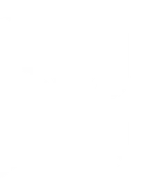 Timeless Obsidian logo