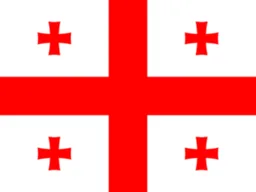 Georgia logo