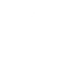 Tropa XV Academy logo