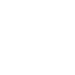 Logo von Cyber Wolves Esports