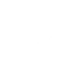 Logo von Dark Passage