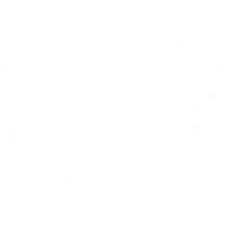 Wingman Patrol logo