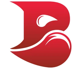 Logo Bleed Esports