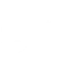 Eternal Fire Passion logo