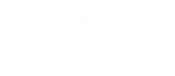 D_M_S logo