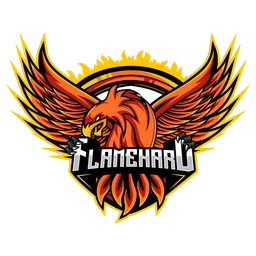 Flame hard logo
