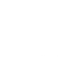 Axiz Crest logo