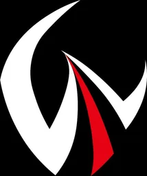 Vainshoes logo