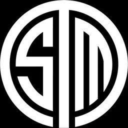 TSM logo