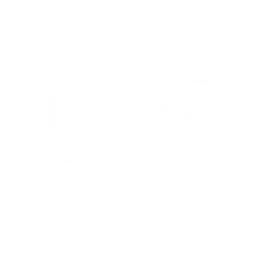 GIANTX 标志