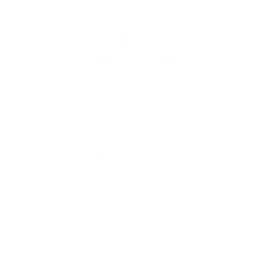 Nasr Esports logo