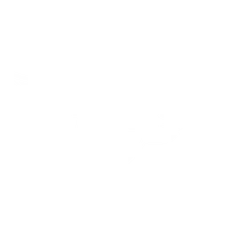 Dream in 24 logo