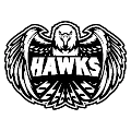 Hawks logo