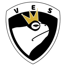 Logo de VES
