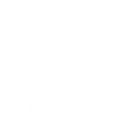 Caldya Esport logo