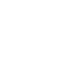 Pirate IDV logo