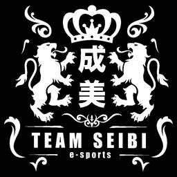 Logo TEAM SEIBI