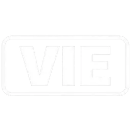 Viet Nam logo