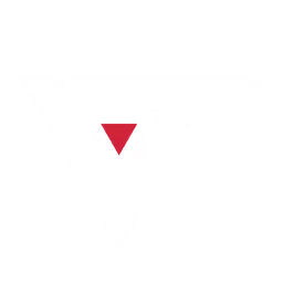 Team Valiant logo