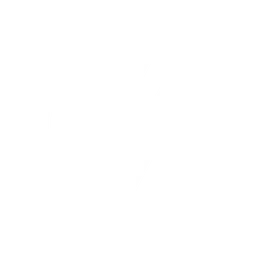 ZETA DIVISION logo