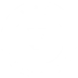 R8 Esports logo