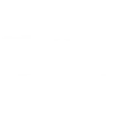 Dplus KIA 标志