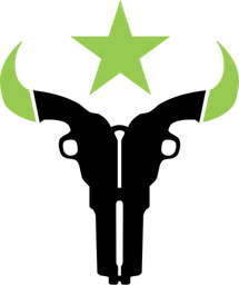 Houston Outlaws logo