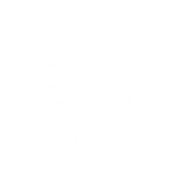 Falke Venom logo
