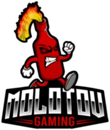 Logo von Molotov Gaming