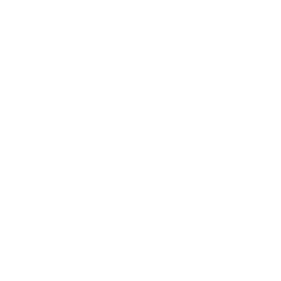 Logo FAV gaming
