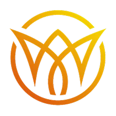 Vis logo