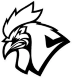 Chicken Coop Esports logo