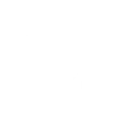 Logo von Wap Esports