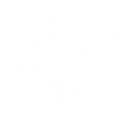 TEAM SOLID logo