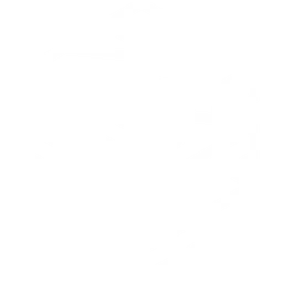 NOVO Esports logo